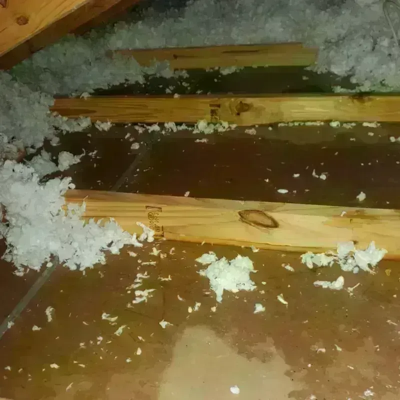 Attic Water Damage in Concord, MO