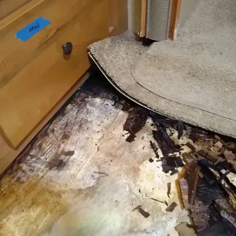 Wood Floor Water Damage in Concord, MO